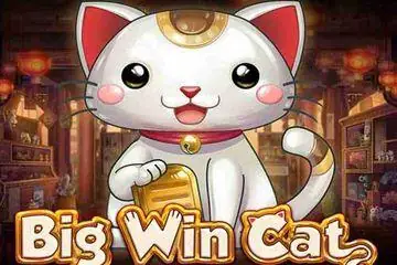 Big Win Cat Online Casino Game