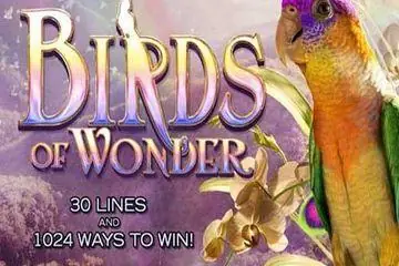 Birds of Wonder Online Casino Game