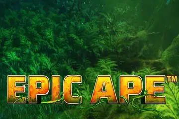 Epic Ape Online Casino Game