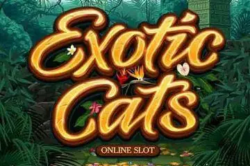 Exotic Cats Online Casino Game
