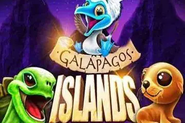 Galapagos Islands Online Casino Game