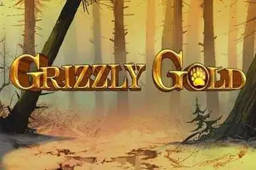 Grizzly Gold Online Casino Game