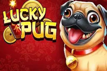 Lucky Pug Online Casino Game