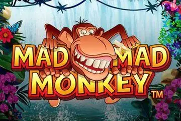 Mad Mad Monkey Online Casino Game