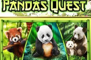 Panda Quest Online Casino Game