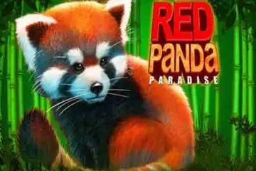 Red Panda Paradise Online Casino Game