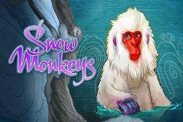 Snow Monkeys Online Casino Game