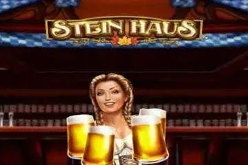 Stein Haus Online Casino Game