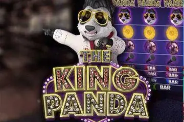 The King Panda Online Casino Game