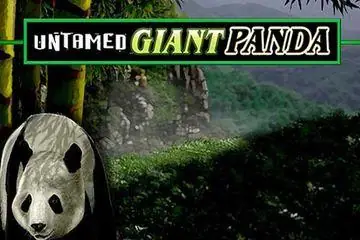 Untamed Giant Panda Online Casino Game