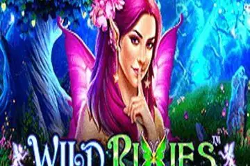 Wild Pixies Online Casino Game