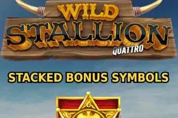 Wild Stallion Quattro Online Casino Game