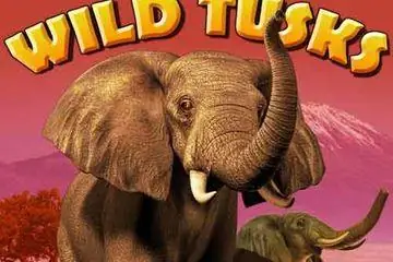 Wild Tusks Online Casino Game